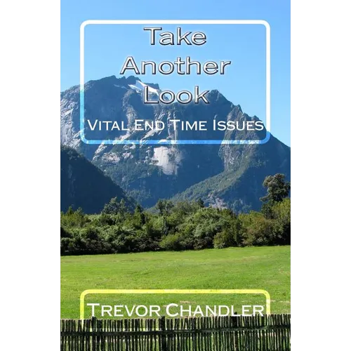Take Another Look: Vital End Time Issues - Paperback