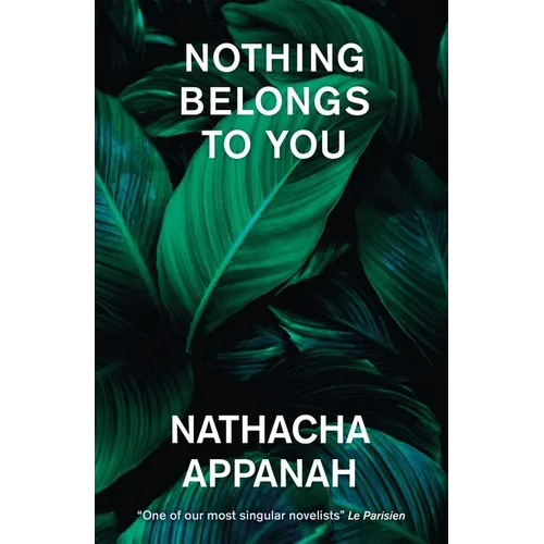 Nothing Belongs to You - Paperback