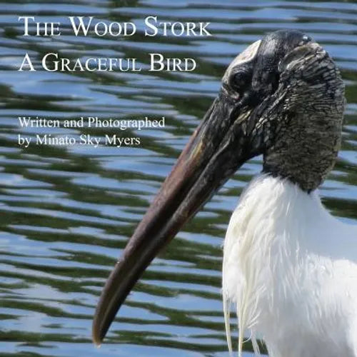 The Wood Stork: A Graceful Bird - Paperback