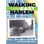 Walking East Harlem: A Neighborhood Experience - Paperback