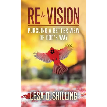 Re-Vision: Pursuing a Better View of God's Way - Hardcover
