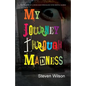 My Journey Through Madness: The Memoir of a Young Man Struggling with Mental Illness - Paperback