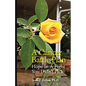 A Cancer Battle Plan: Hope in a Fight You Didn't Pick - Paperback