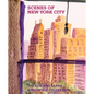 Scenes of New York City: The Elie and Sarah Hirschfeld Collection - Hardcover
