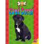 Cani Corsi - Library Binding
