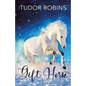 Gift Horse: An all-ages, horsey, holiday novella - Paperback