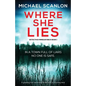 Where She Lies: A gripping Irish detective thriller with a stunning twist - Paperback