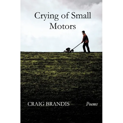 Crying of Small Motors - Paperback