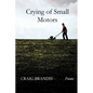 Crying of Small Motors - Paperback