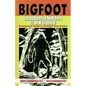 Bigfoot Encounters in New York & New England: Documented Evidence, Stranger Than Fiction - Paperback