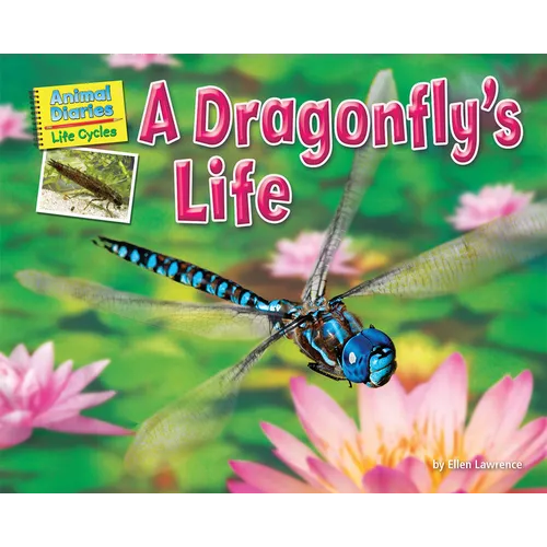 A Dragonfly's Life - Paperback