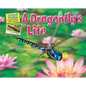 A Dragonfly's Life - Paperback