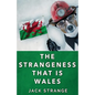 The Strangeness That Is Wales - Paperback