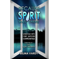 Because the Spirit Was There: Windows Into First Nations Communities - Paperback