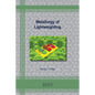 Metallurgy of Lightweighting - Paperback