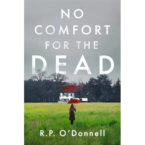 No Comfort for the Dead: An Irish Library Mystery - Hardcover