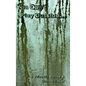 You Can't Play Outside . . . - Hardcover