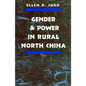 Gender and Power in Rural North China - Paperback