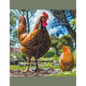 How to Raise Chickens For Eggs and Meat - Paperback