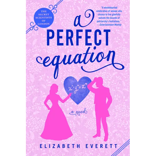 A Perfect Equation - Paperback