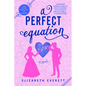 A Perfect Equation - Paperback