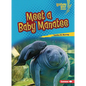 Meet a Baby Manatee - Paperback