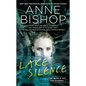 Lake Silence - Paperback