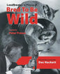 Leadbetter's Possum: Bred to Be Wild - Paperback