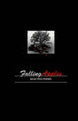 Falling Apples: Selected Poems - Paperback