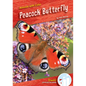 Peacock Butterfly - Library Binding