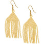 Brilliant Fringe Beaded Earrings
