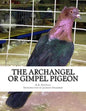 The Archangel or Gimpel Pigeon: Pigeon Breeds Book 8 - Paperback
