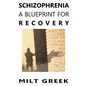 Schizophrenia: A Blueprint for Recovery - Paperback