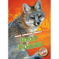 Gray Foxes - Library Binding