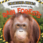 Endangered Animals in the Rain Forests - Library Binding