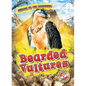Bearded Vultures - Library Binding