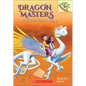 Saving the Sun Dragon - Hardcover