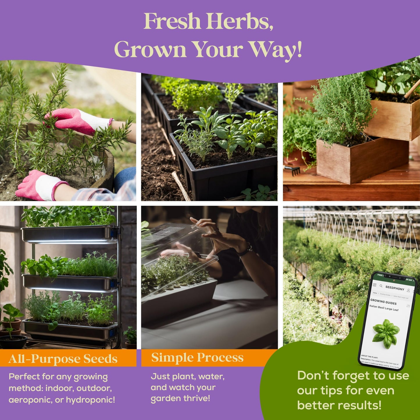 35 Medicinal & Tea Herb Seeds Variety Pack - 16,285+ Non-GMO Heirloom Herbs Seeds for Planting Indoor & Outdoor: Lavender, Rosemary, Echinacea, Mint, Catnip, Basil - Gardening Seed Packets