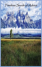 Timeless Seeds of Advice - Hardcover