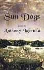 Sun Dogs - Paperback