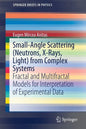 Small-Angle Scattering (Neutrons, X-Rays, Light) from Complex Systems: Fractal and Multifractal Models for Interpretation of Experimental Data - Paperback