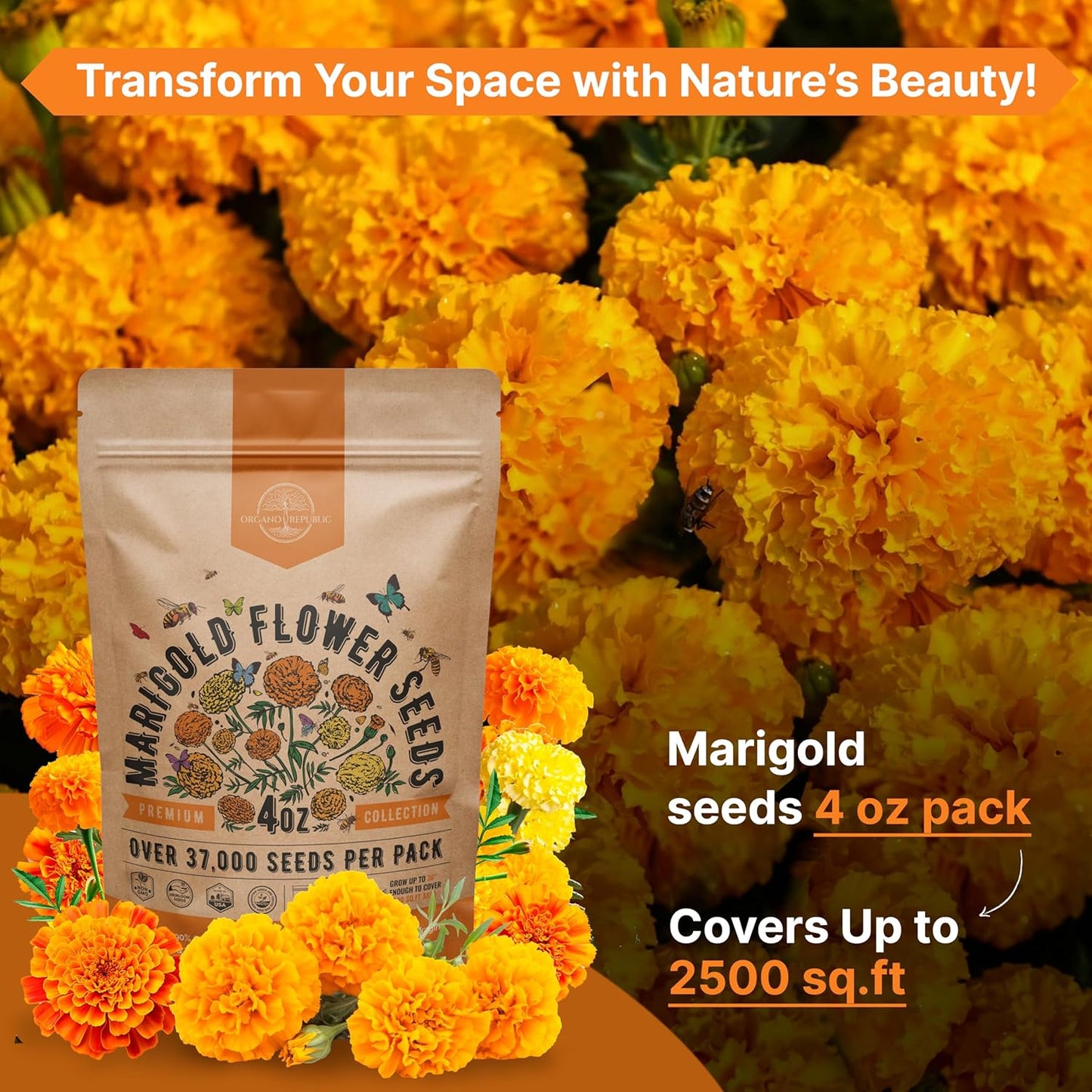Marigold Seeds Pack 1 oz - Over 9,250 Non-GMO Heirloom Marigold Seeds for Planting Indoor & Outdoor Gardening, Flower Seed for Planting Home and Garden, Flowers Seed in Individual Packet