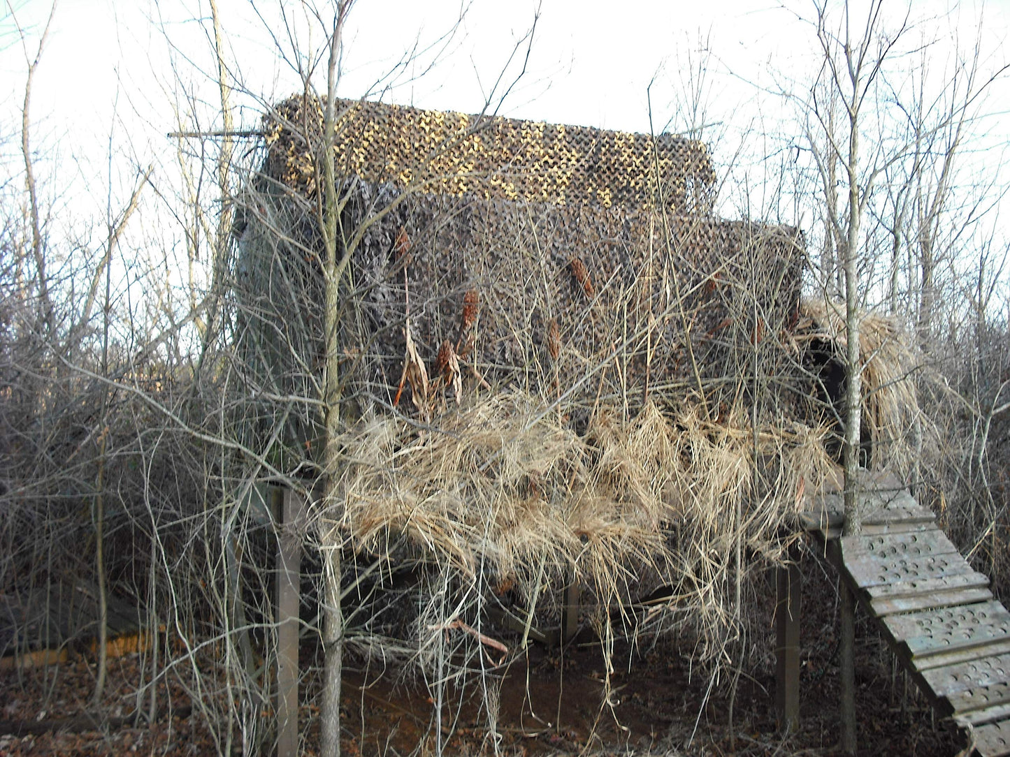 CamoSystems Premium Series Ultra-lite Camouflage Netting