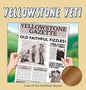 Yellowstone Yeti: Case of the Gushless Geyser - Hardcover
