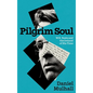 Pilgrim Soul: W.B. Yeats and the Ireland of His Time - Paperback