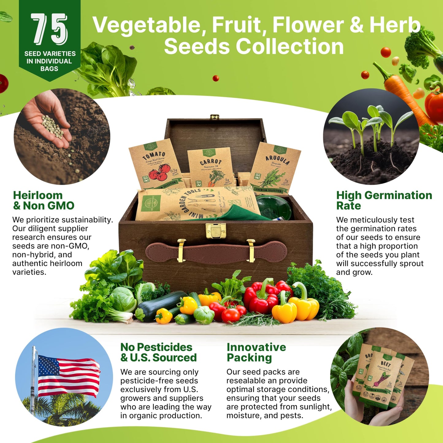 35 Medicinal & Tea Herb Seeds Variety Pack for Indoor & Outdoors. 16,335+ Non-GMO Heirloom Garden Seeds: Anise, Bergamot, Borage, Cilantro, Chamomile, Dandelion, Rosemary Seeds & More