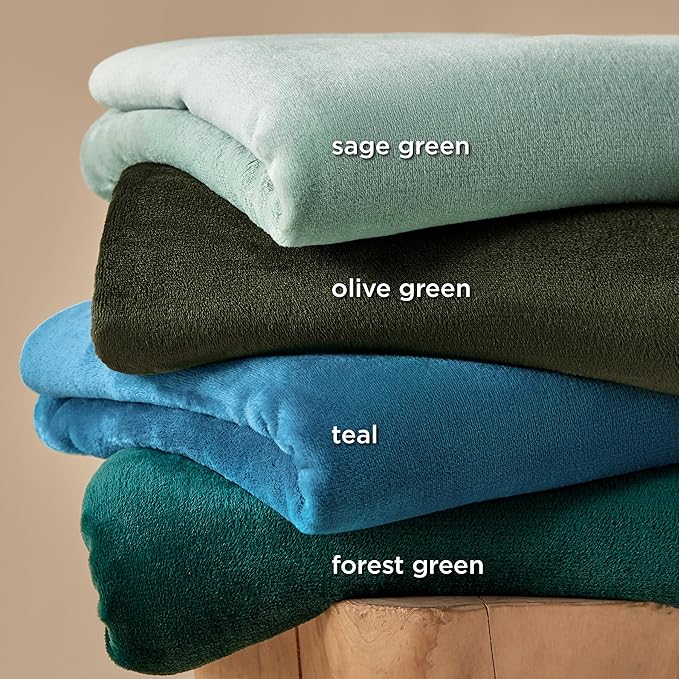 Bedsure Sage Green Fleece Blankets Queen Size - 280GSM Soft Lightweight Plush Cozy Blanket for Bed, Sofa, Couch, Travel, Camping