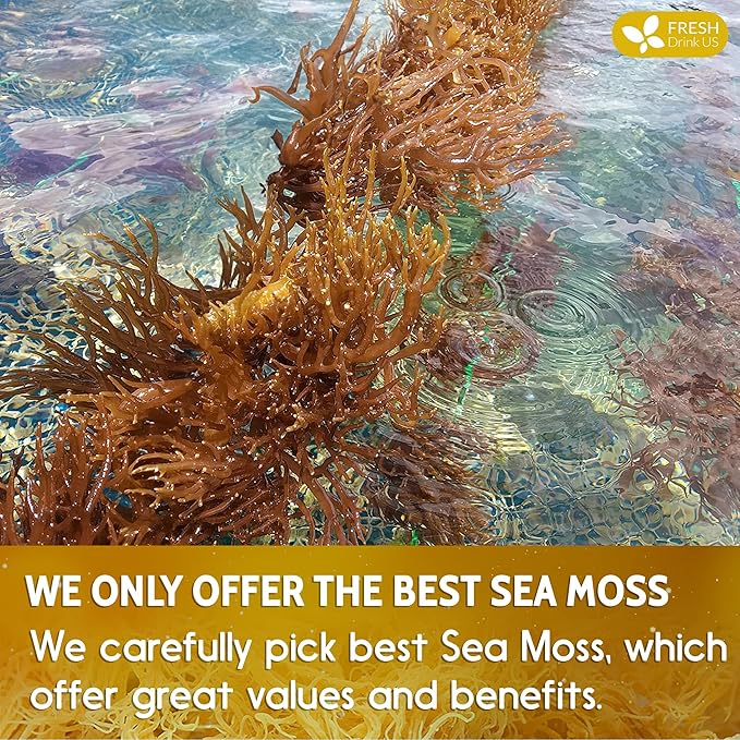 FRESHDRINKUS, Premium - Natural Sea Moss, Make 42oz of Gel, Goldne Raw Sea Moss Dried, 100% Natural & Pure, Wildcrafted, Sundried, Caffeine Free, Sugar Free, Gluten Free, Vegan, Mineral Rich