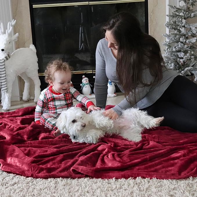 Bedsure Fleece Throw Blanket Red - 300GSM Blankets for Couch, Sofa, Bed, Soft Lightweight Plush Cozy Throws for Toddlers, 50x60 inches