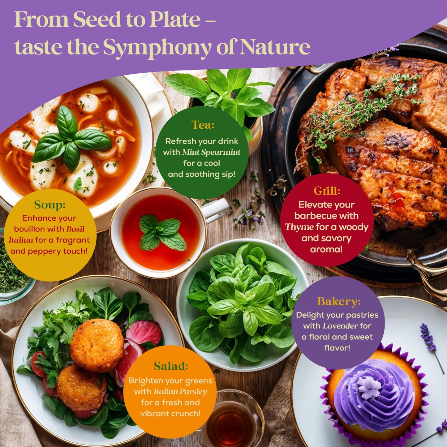 35 Medicinal & Tea Herb Seeds Variety Pack - 16,285+ Non-GMO Heirloom Herbs Seeds for Planting Indoor & Outdoor: Lavender, Rosemary, Echinacea, Mint, Catnip, Basil - Gardening Seed Packets
